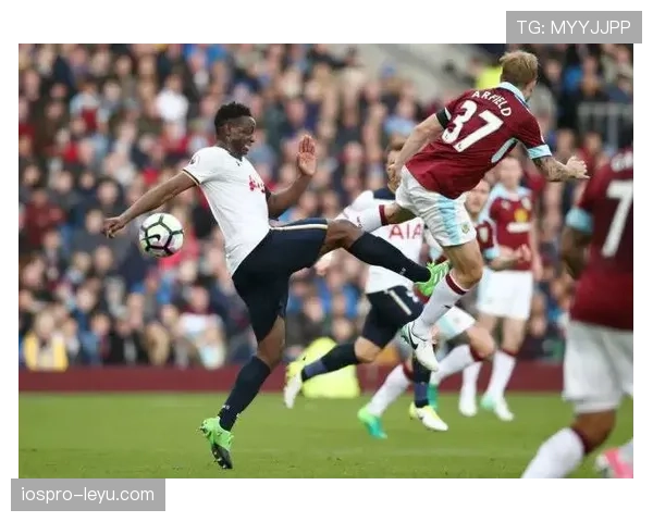 白百合展现拼搏精神，英超赛季稳健表现引关注