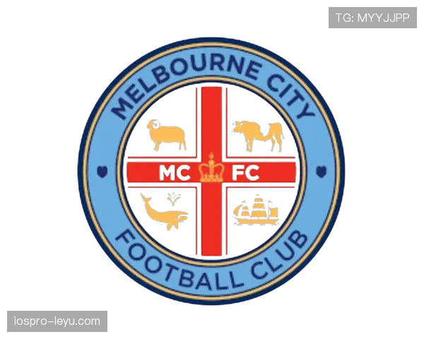 德国队徽演变引关注，见证足球历史变迁