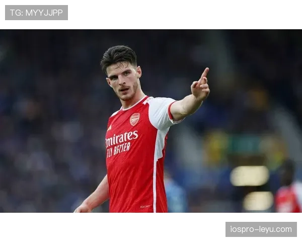 赖斯防守与推进双核心能力解析